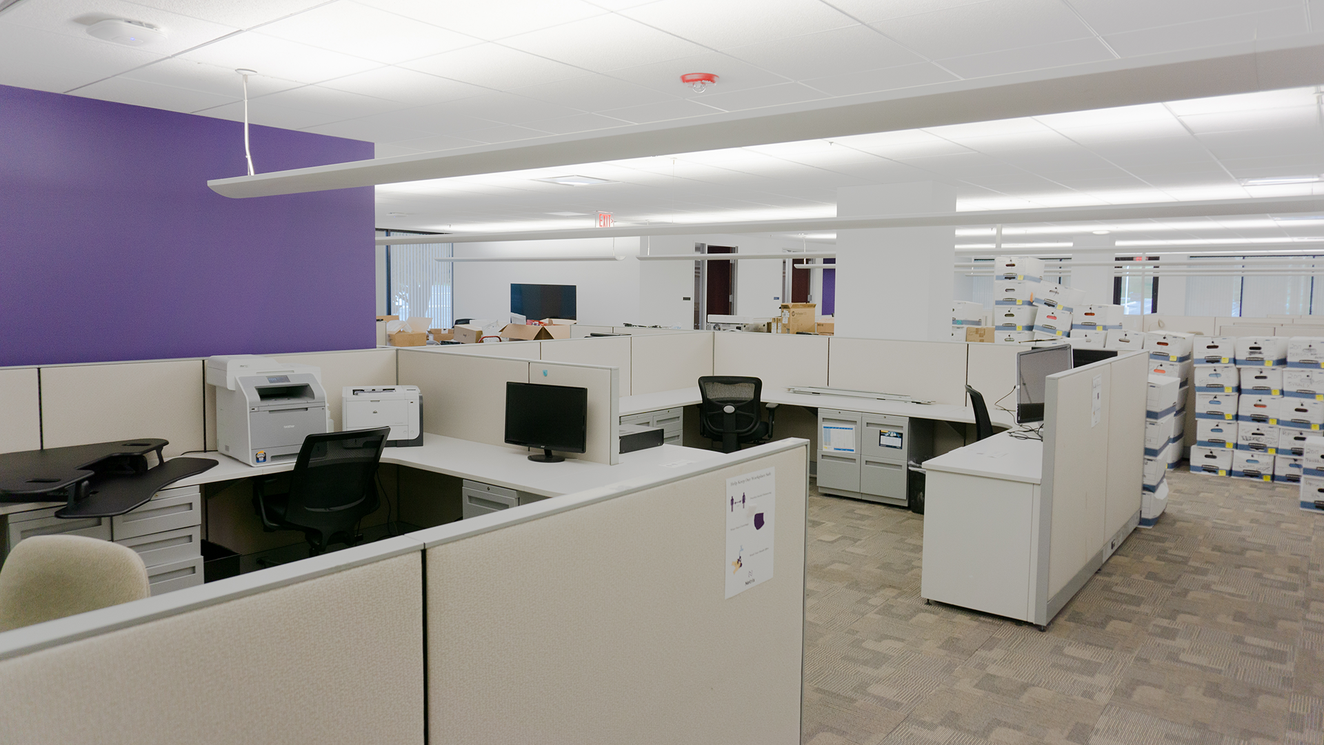 2801 Lakeside - Internal Office, White Cubicles, Purple Wall