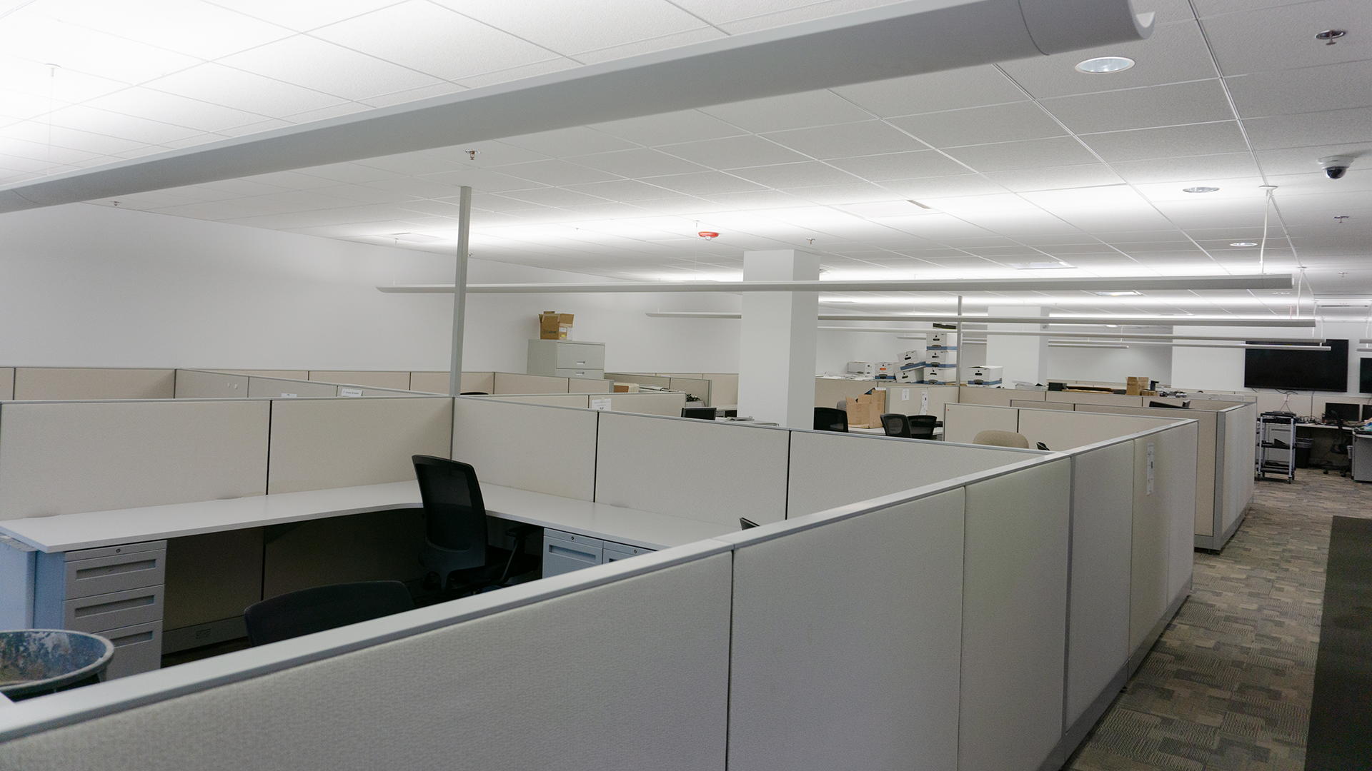 Internal Office Photo - White Cubicles 