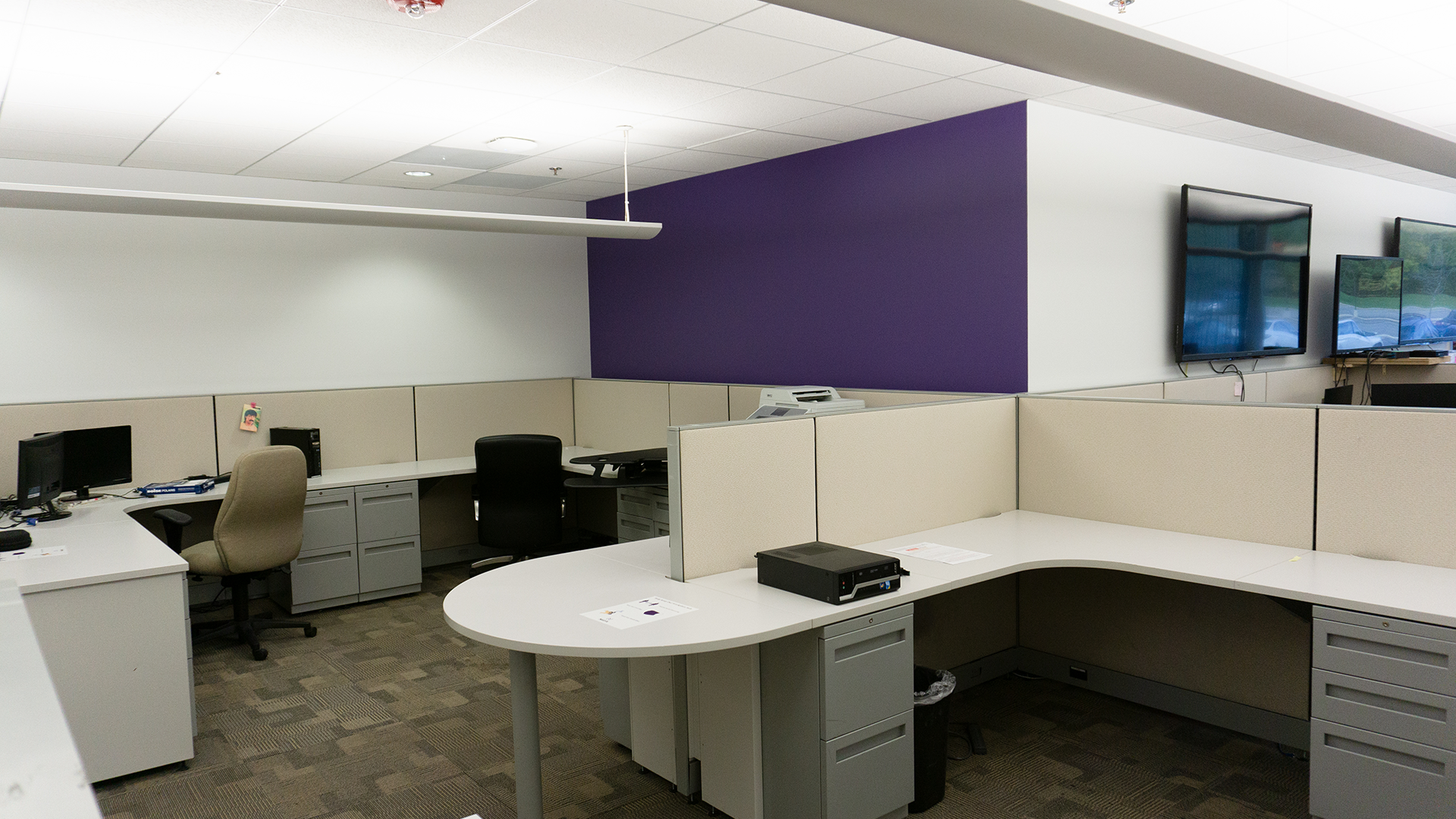 2801 Lakeside Internal Office Photo - White Cubicle, purple wall 