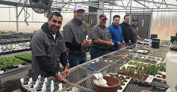 Houston office Impact Week