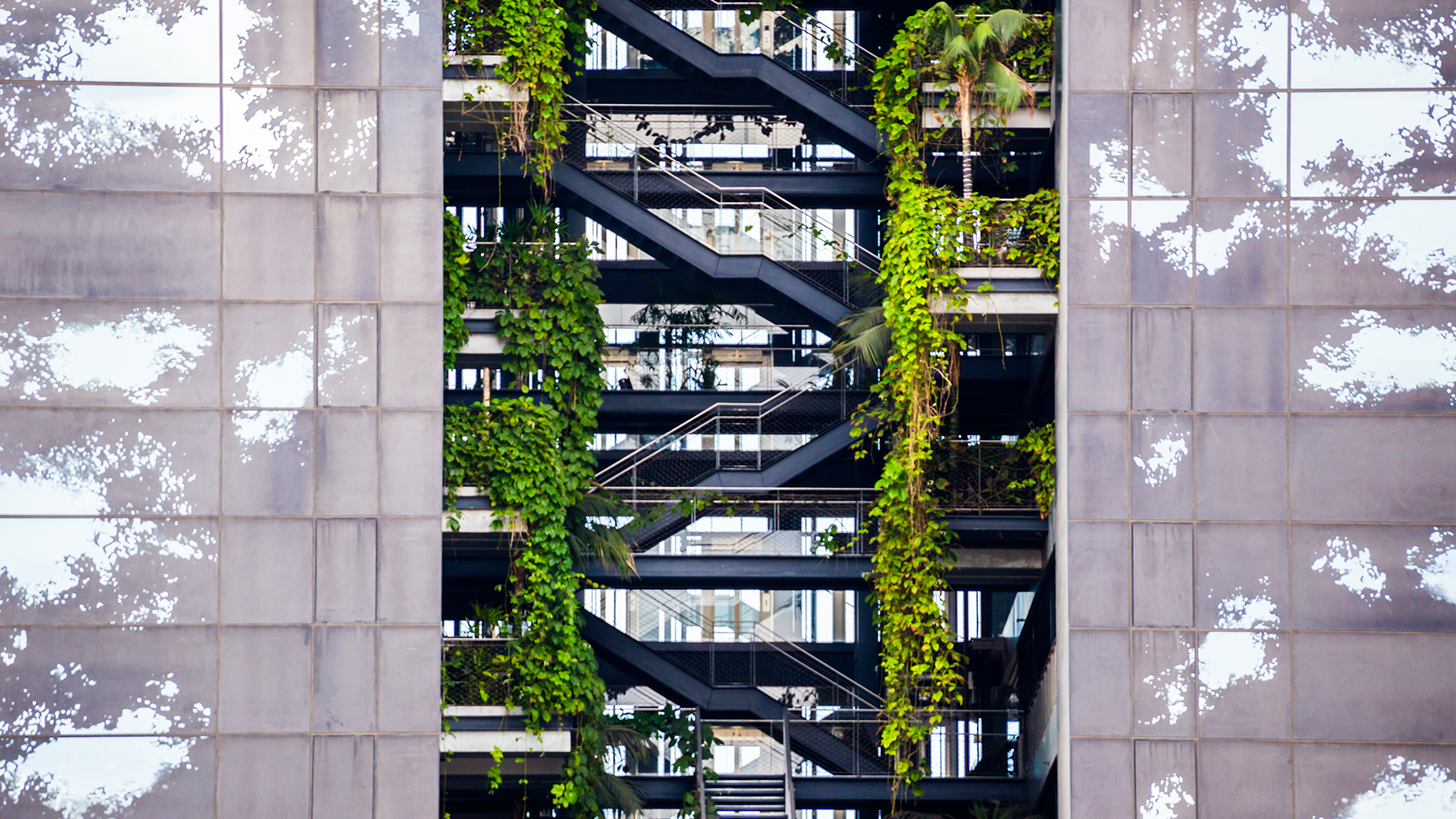 Exterior office, staircase with ivy