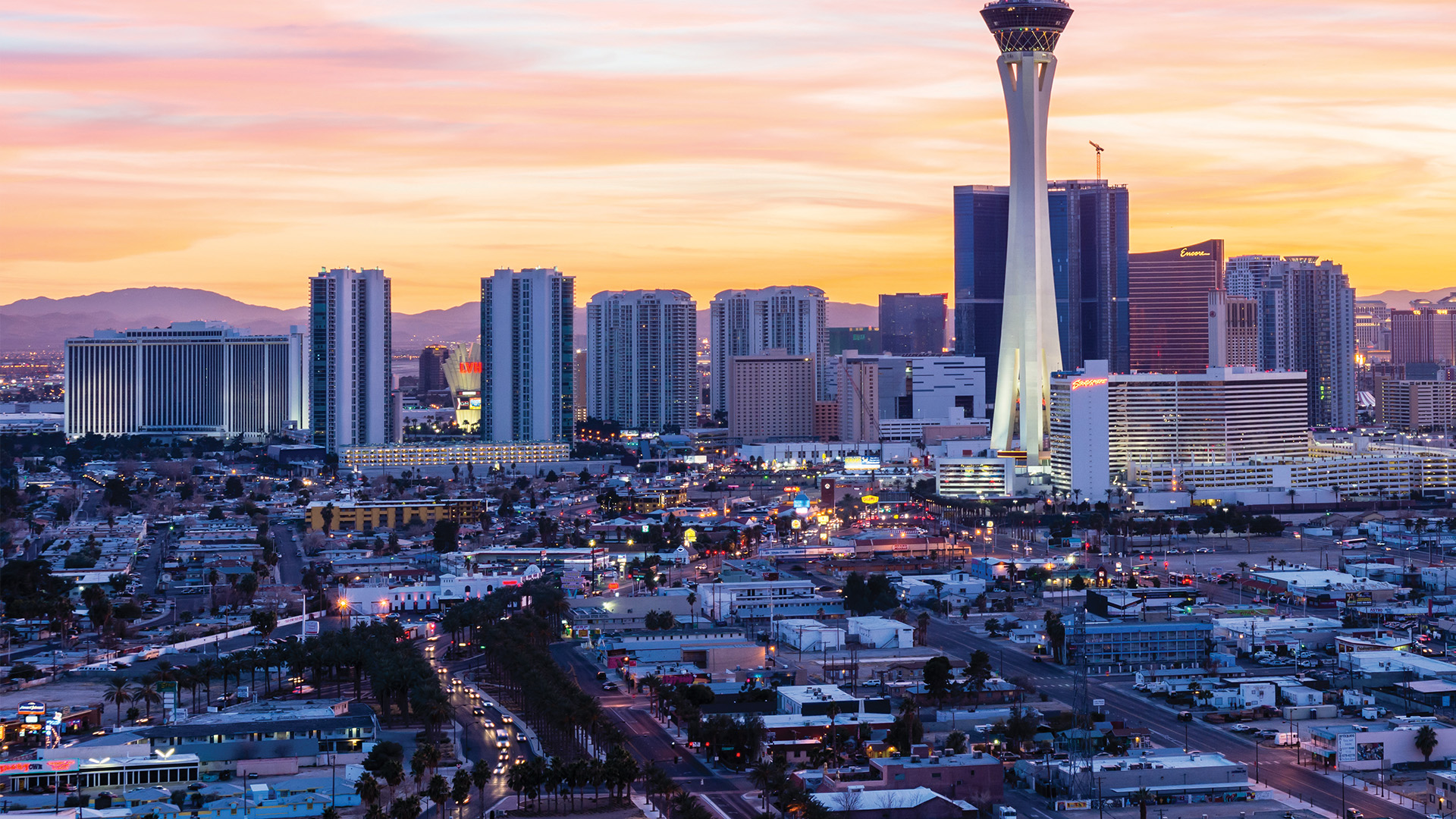 Las Vegas Skyline