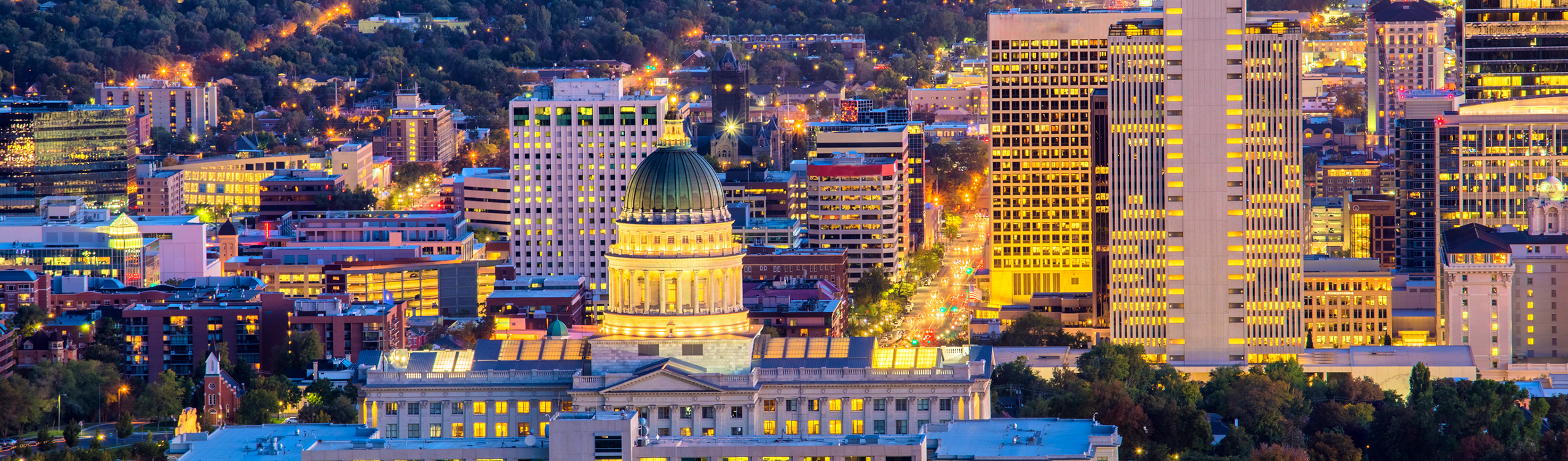 SLC Night Skyline 1